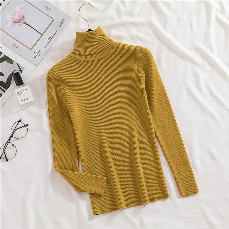 Soft Cashmere Turtleneck Minha loja