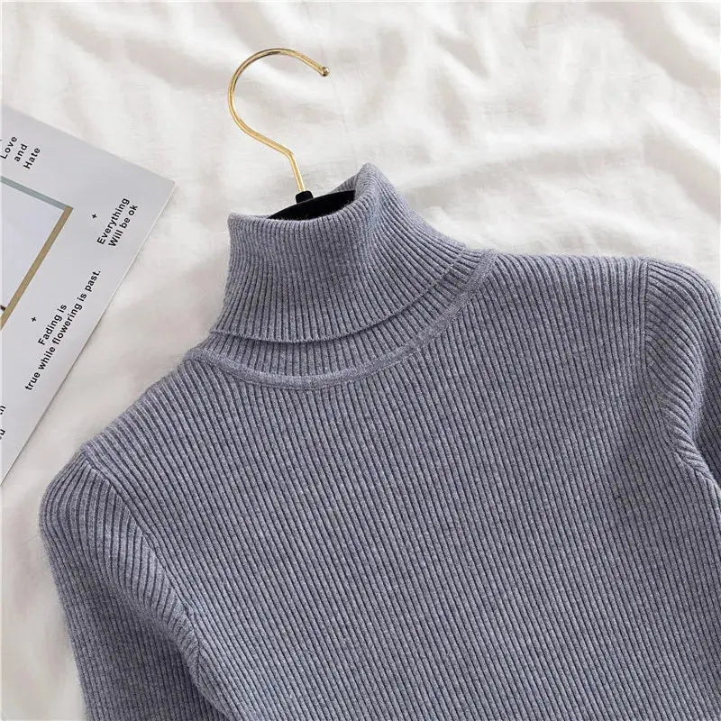 Soft Cashmere Turtleneck Minha loja