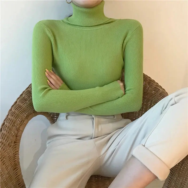 Soft Cashmere Turtleneck Minha loja