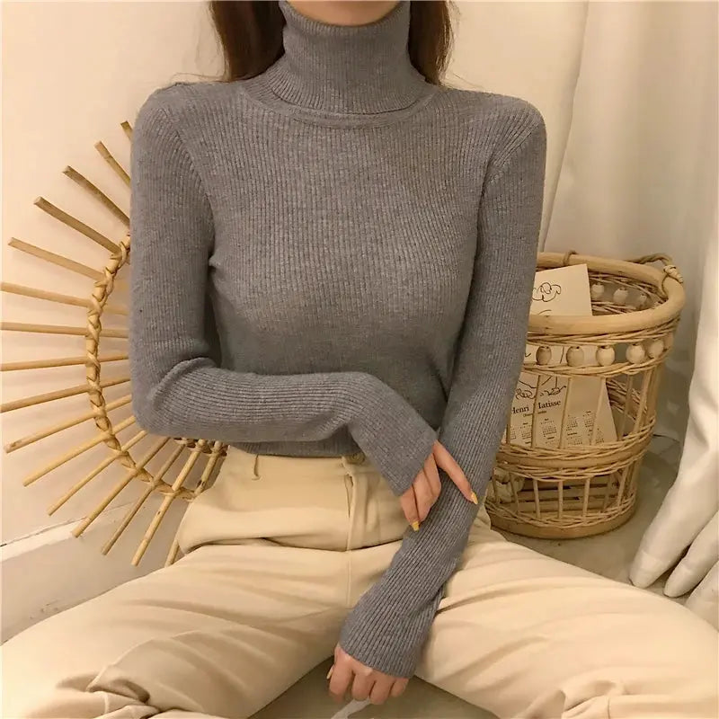 Soft Cashmere Turtleneck Minha loja