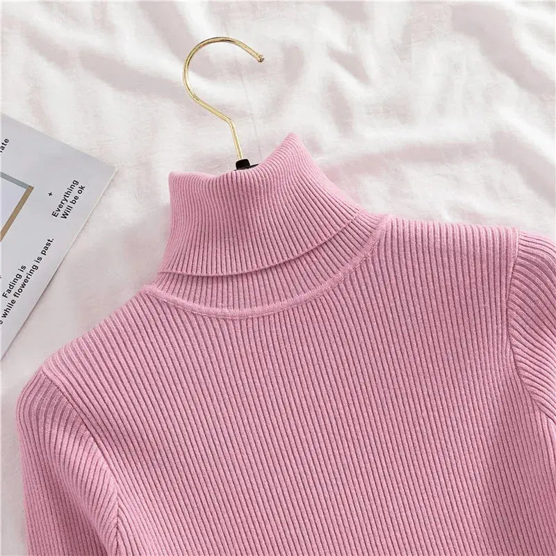 Soft Cashmere Turtleneck Minha loja