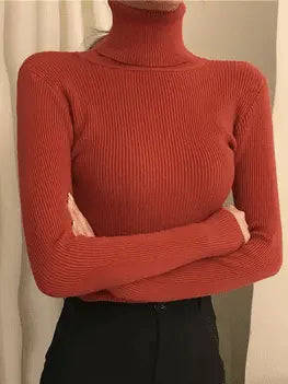 Soft Cashmere Turtleneck Minha loja