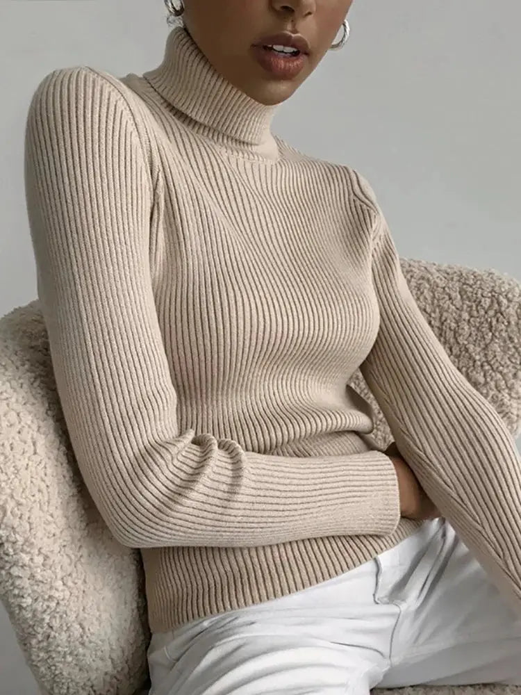 Soft Cashmere Turtleneck Minha loja