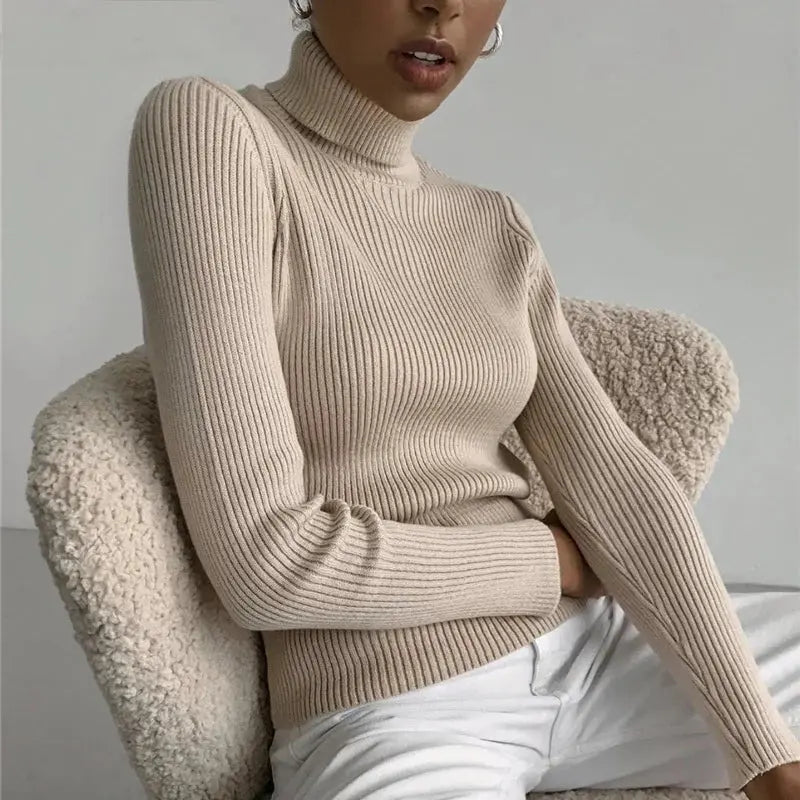 Soft Cashmere Turtleneck Minha loja