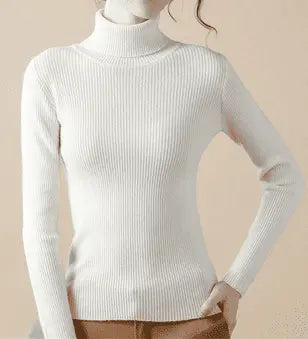Soft Cashmere Turtleneck Minha loja
