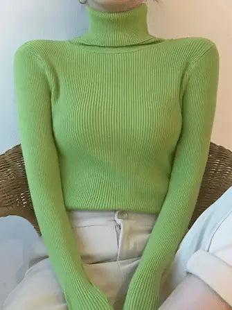 Soft Cashmere Turtleneck Minha loja